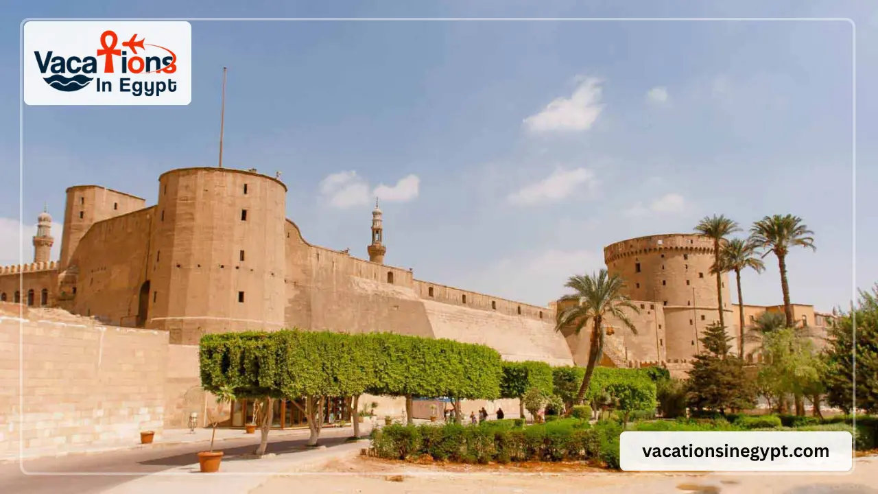 Day Trip to Egyptian Museum Old Cairo