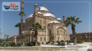 Day Trip to Egyptian Museum Old Cairo