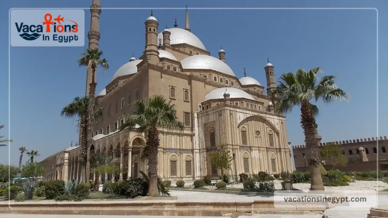 Day Trip to Egyptian Museum Old Cairo