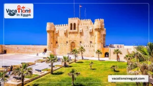 Rosetta Day Tour from Alexandria