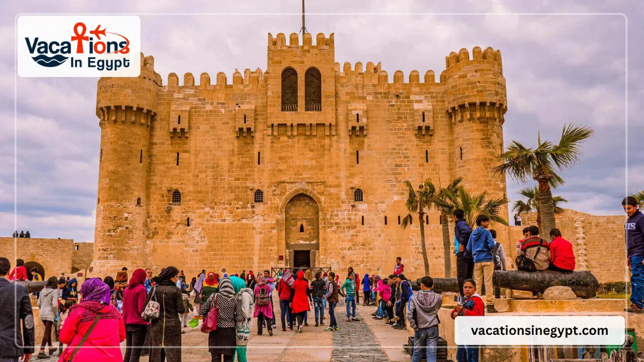 Rosetta Day Tour from Alexandria