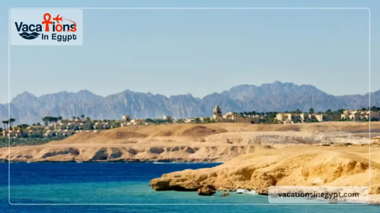 Sharm el sheikh Diving