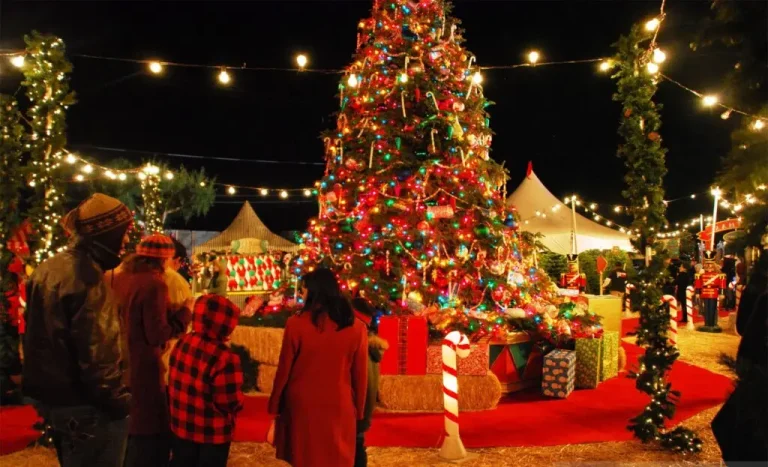 Christmas and New Year in Egypt