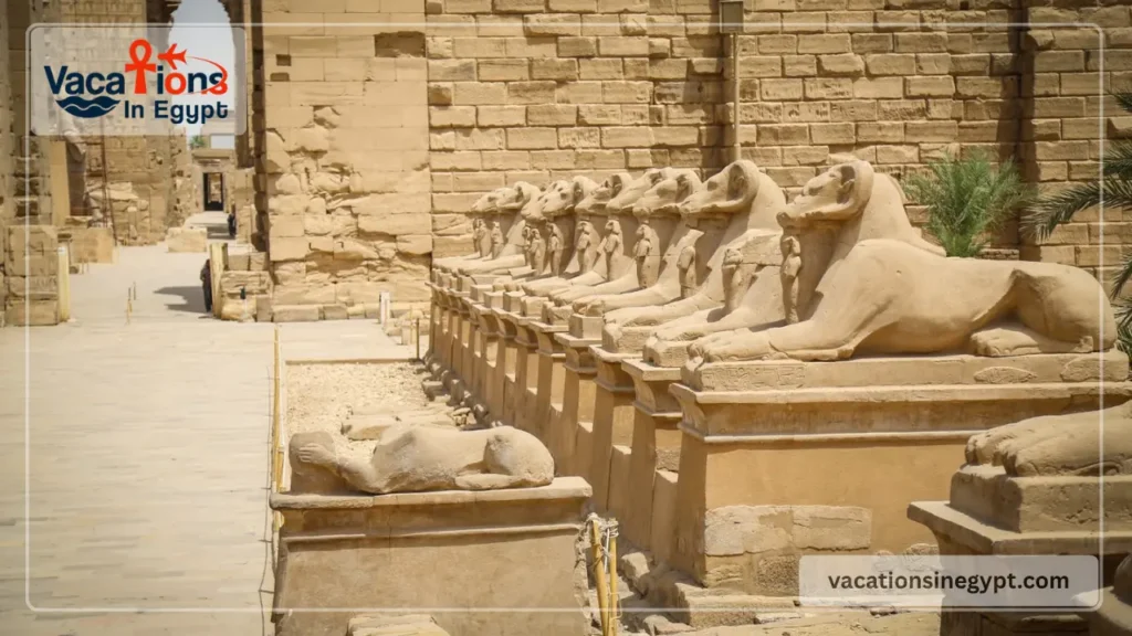 Day trip to Luxor from Sharm El Sheikh by plane