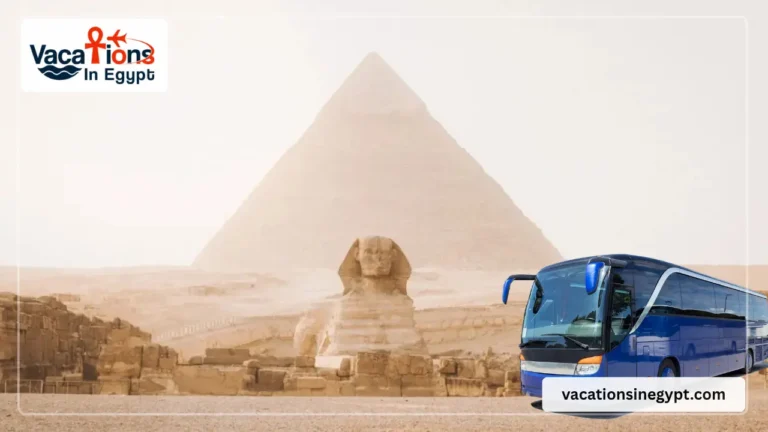 Private Tour from EL Gouna to Cairo by Car