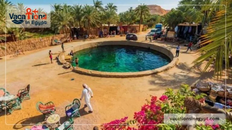 Siwa Oasis tour from Cairo