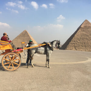 5 Day Luxury Tour Egypt