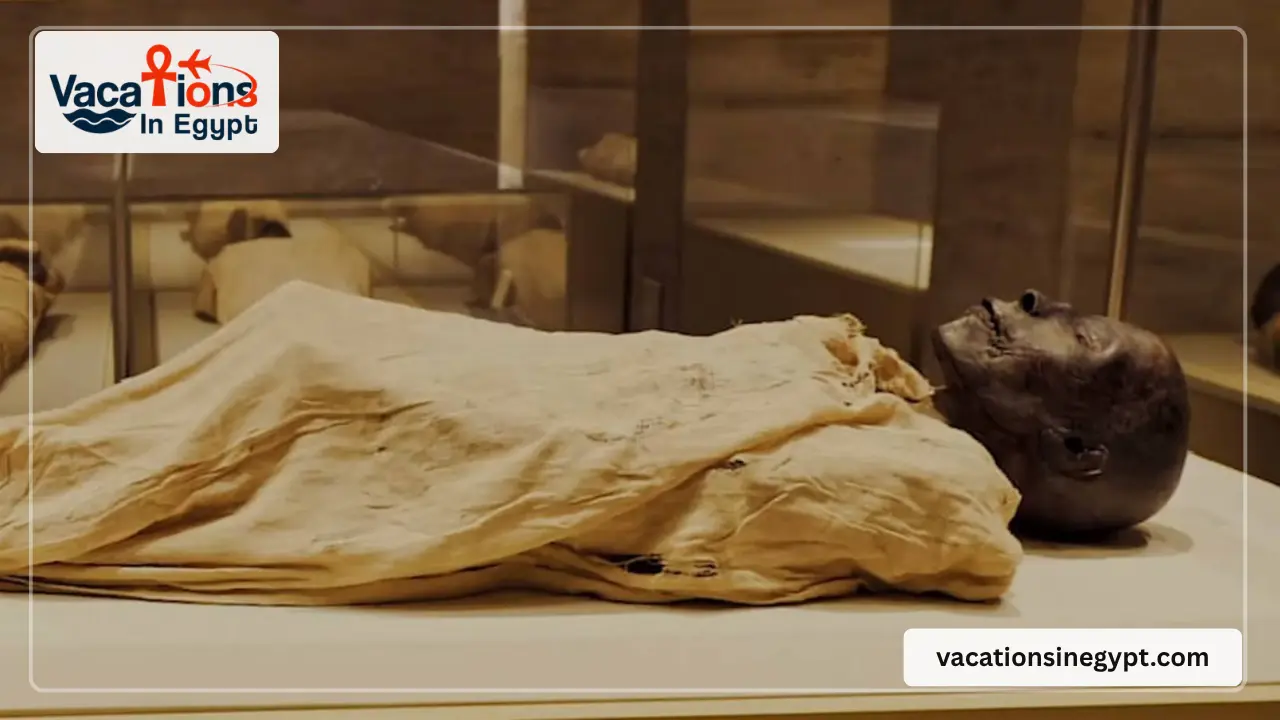 The National Museum Of Egyptian Civilization