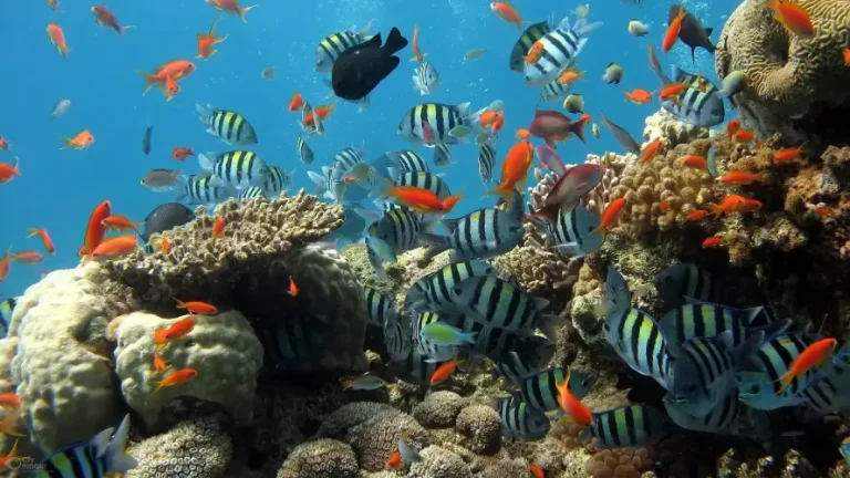 7 Days Cairo and Hurghada Holiday
