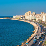 View all Alexandria tours