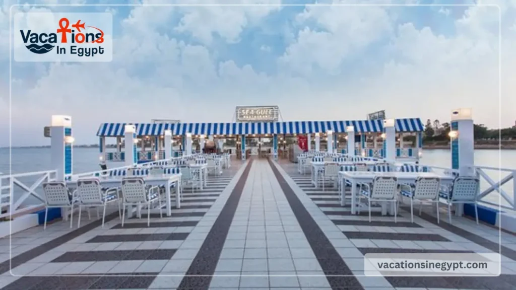 seagull-restaurant-marina