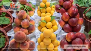 Summer fruits in Egypt