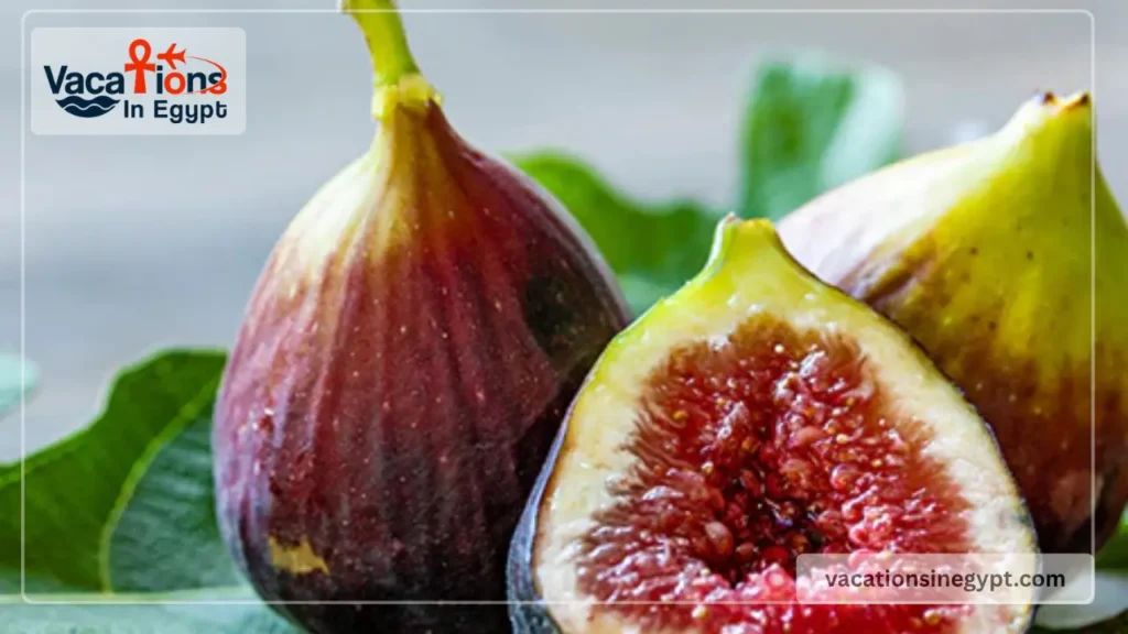 Summer fruits in Egypt