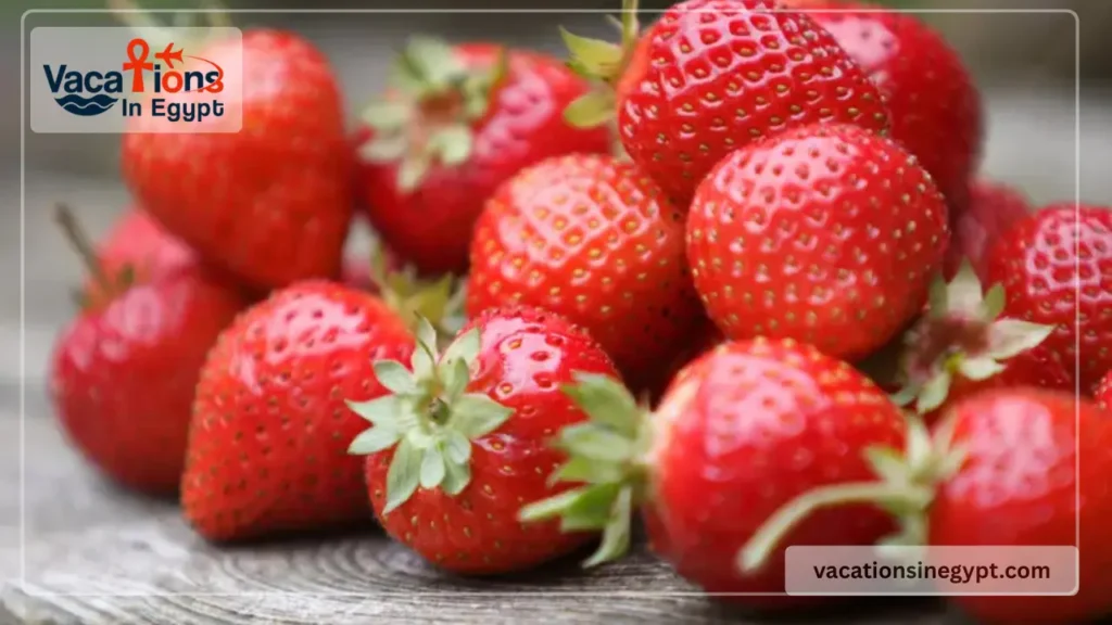Summer fruits in Egypt