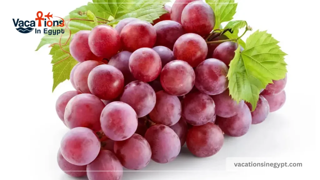 Summer fruits in Egypt