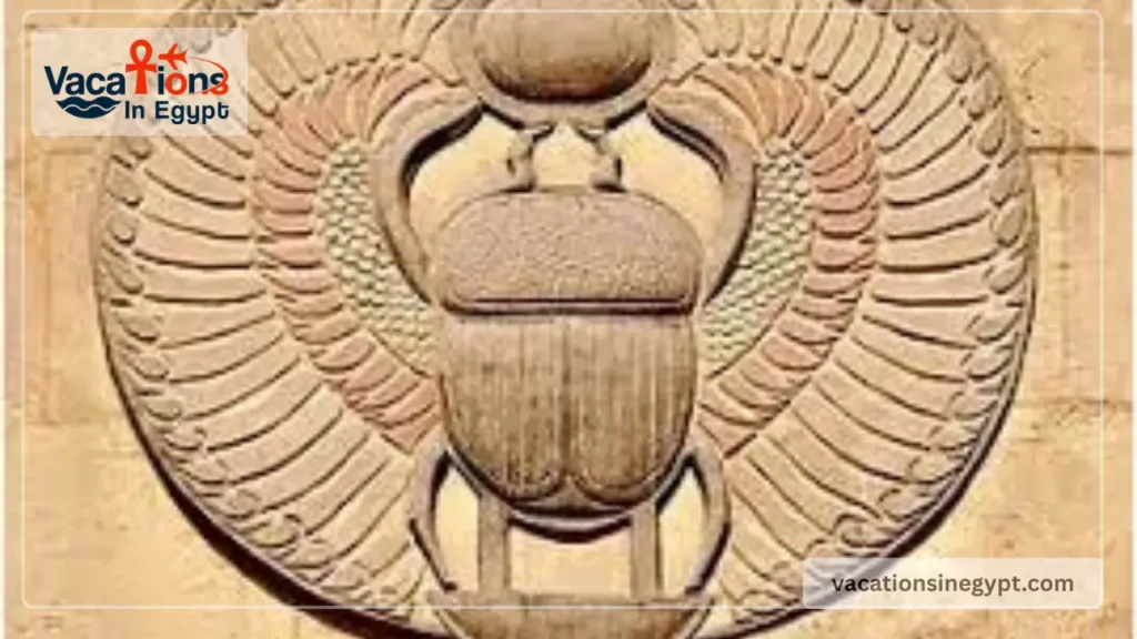 Egyptian Scarab Beetle