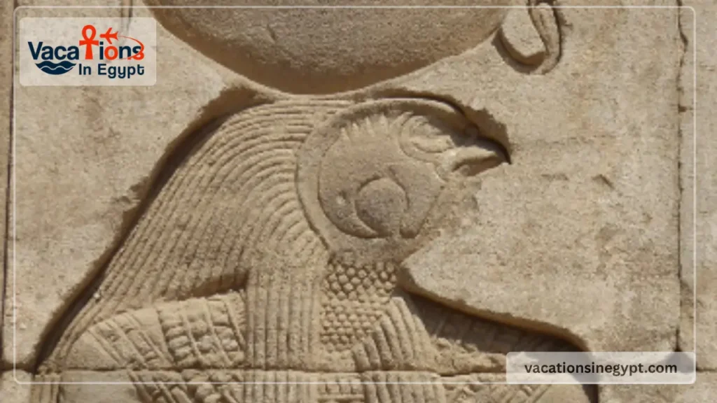 Egyptian Scarab Beetle