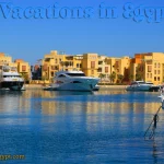 View all El Gouna tours
