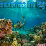 View all Hurghada tours