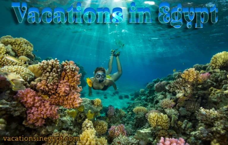 5 Days Cairo and Sharm El Sheikh Package tour