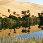 View all Bahariya Oasis tours