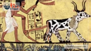 Daily Life in Ancient Egypt