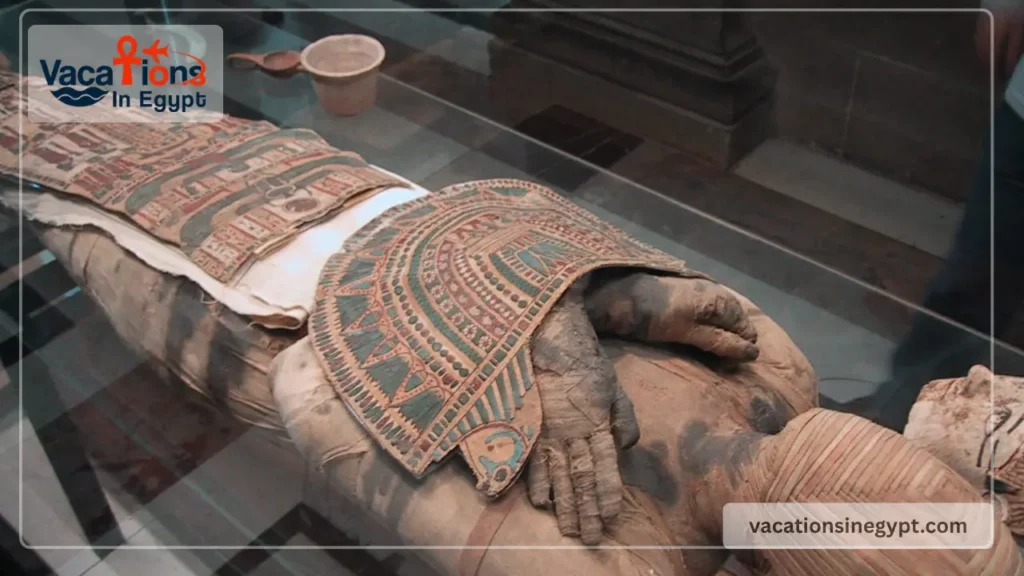 Mummification Process