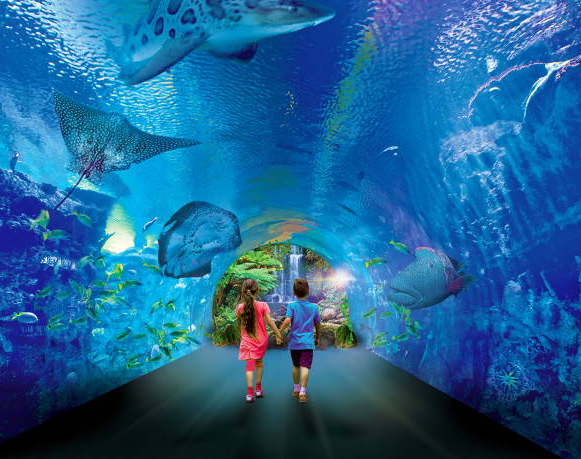 Hurghada Grand Aquarium