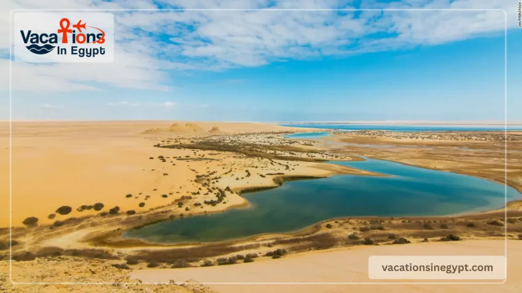 Fayoum Oasis