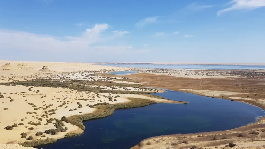 Fayoum