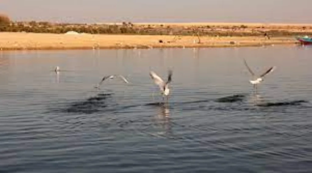 Lake Qaraoun