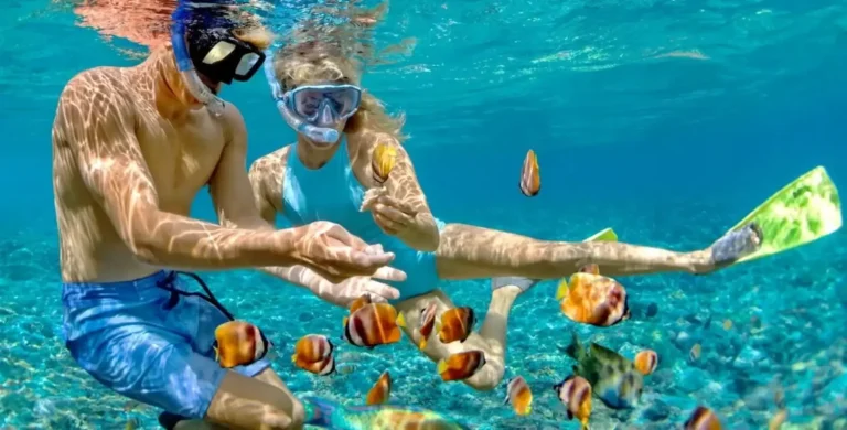 Snorkeling Trip in Hurghada
