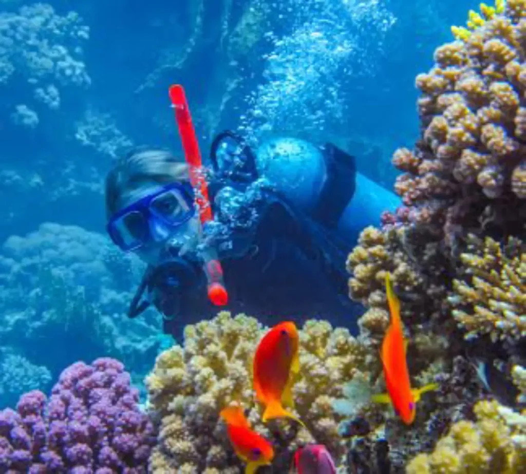 Snorkeling in the Red Sea coral reefs Hurghada Egypt