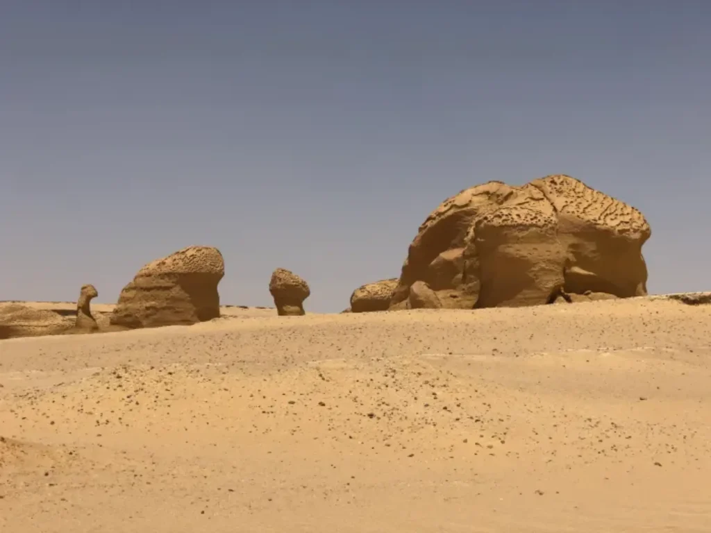 Wadi El Hitan