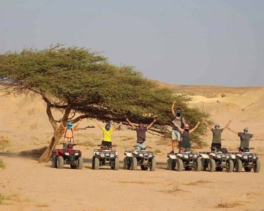 Quad Biking and Safaris