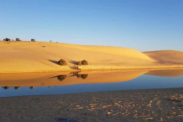 Night Camping in Wadi El Hitan