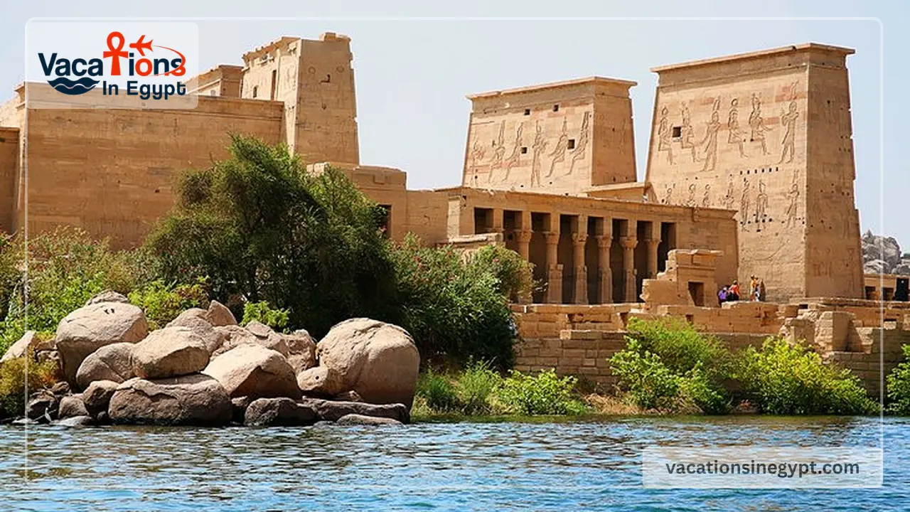 Royal Esadora Nile Cruise 8 Days from Luxor 