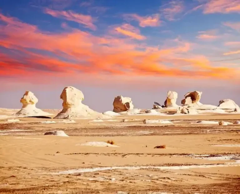 Dazzling Safari Tour Bahariya Oasis and White Desert