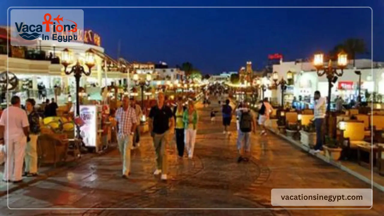 14 Days Cairo, Nile cruise, Sharm El Sheikh