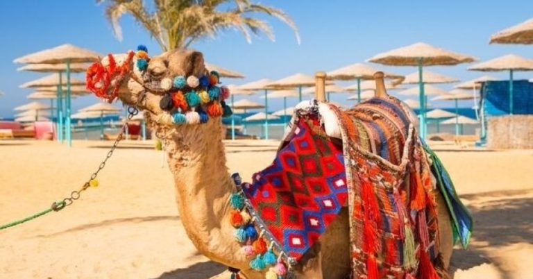 Top 10 Days Recreational Trip To Egypt