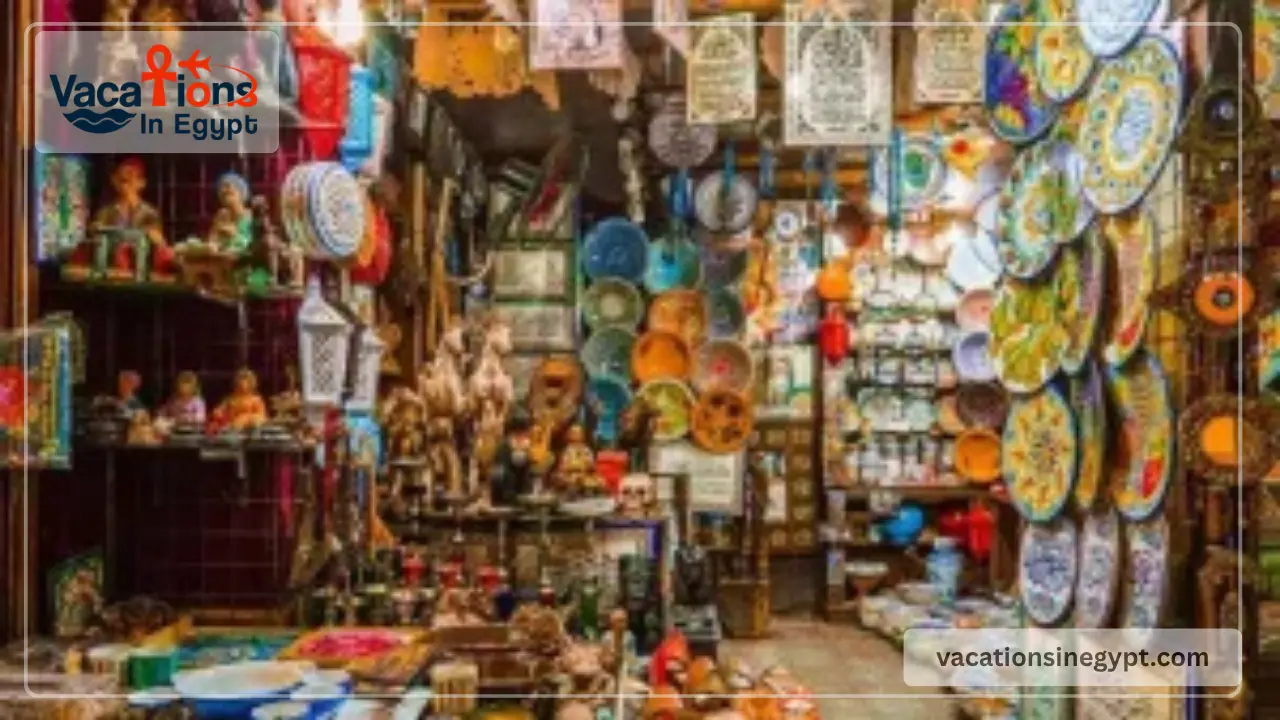 10 Days Excursion in Egypt Cairo Nile Cruise and Red Sea