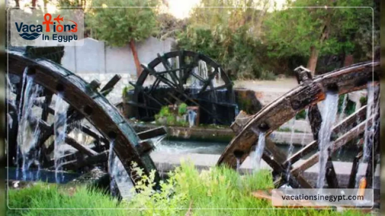 Enjoy In Fayoum