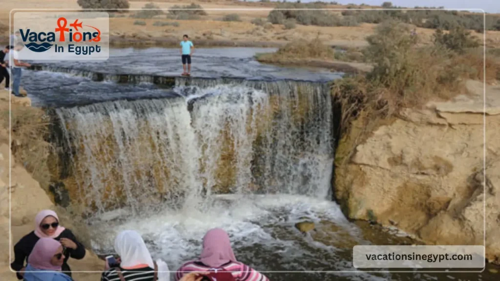 Fayoum Oasis
