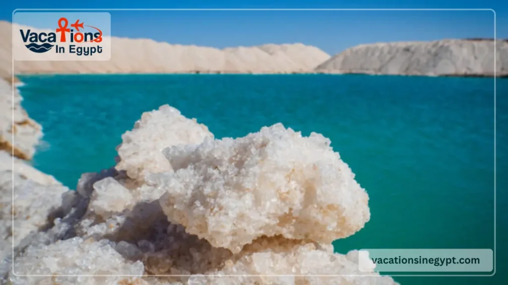 How to Plan a Siwa Oasis Trip in 2026