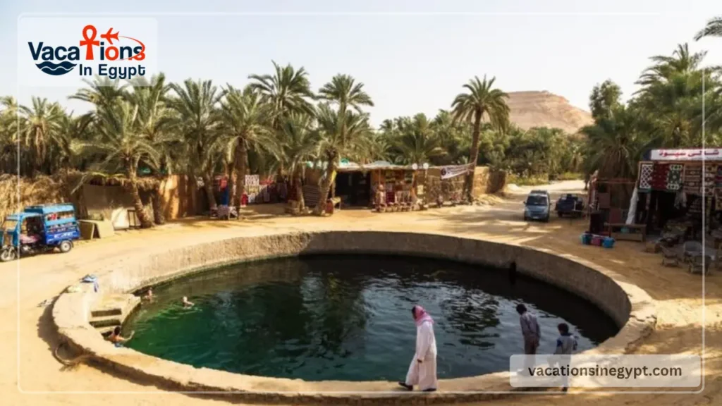How to Plan a Siwa Oasis Trip in 2026