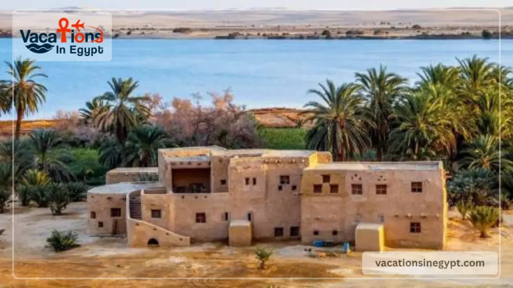 How to Plan a Siwa Oasis Trip in 2026