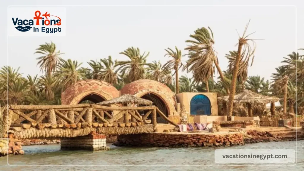 How to Plan a Siwa Oasis Trip in 2026