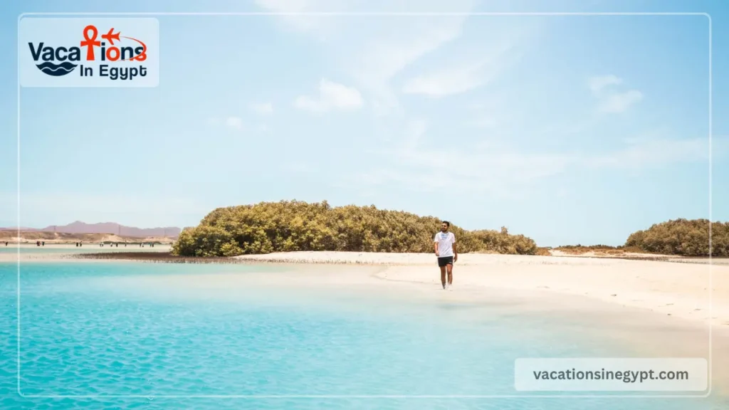 Honeymoon Packages in Egypt 2026