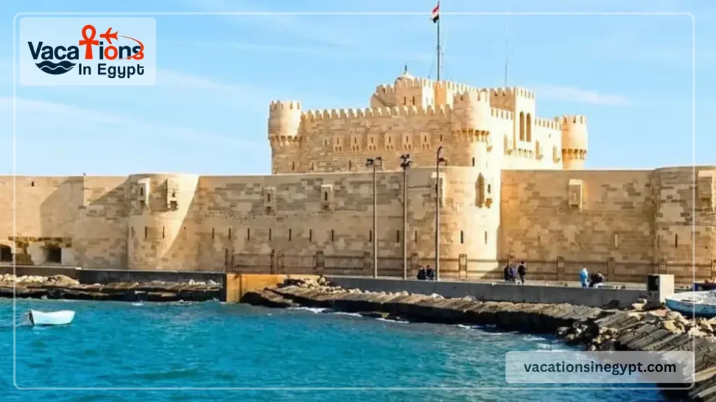 Egypt Tour Packages Built Around How You Like to Travel