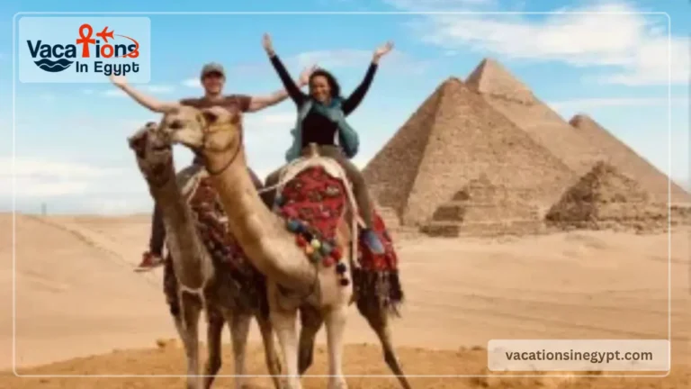 Egypt Tour Packages Built Around How You Like to Travel